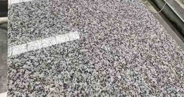 安庆 芙蓉白光面