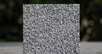 安庆 芝麻黑荔枝面