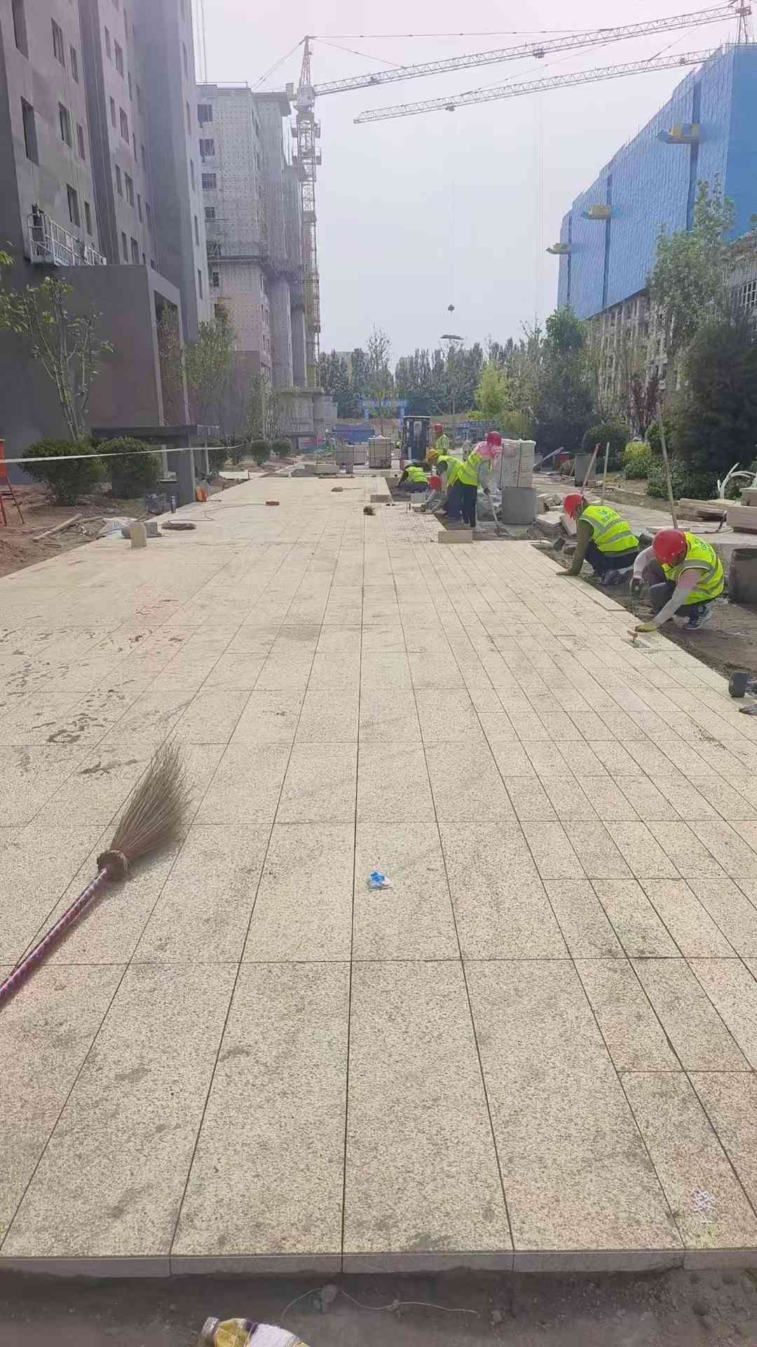 安庆黄金麻荔枝面地铺案例