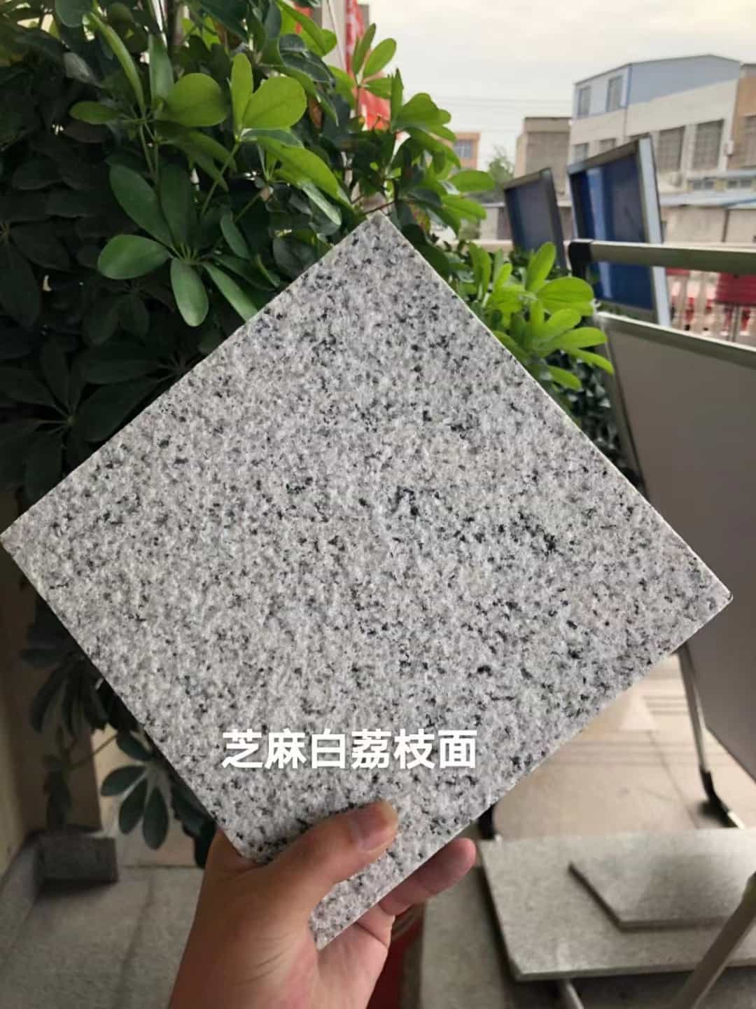 安庆 芝麻白荔枝面干挂