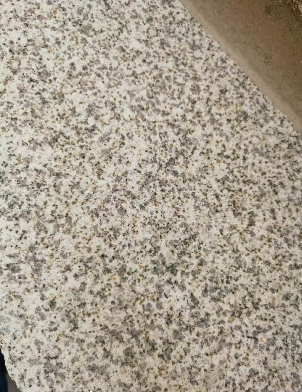 安庆 黄金麻中黄光面